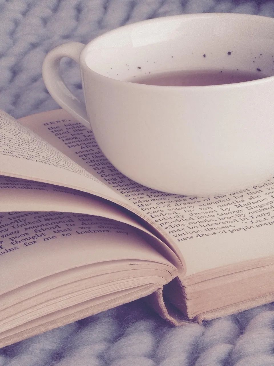 literature-3176774_1280.jpg