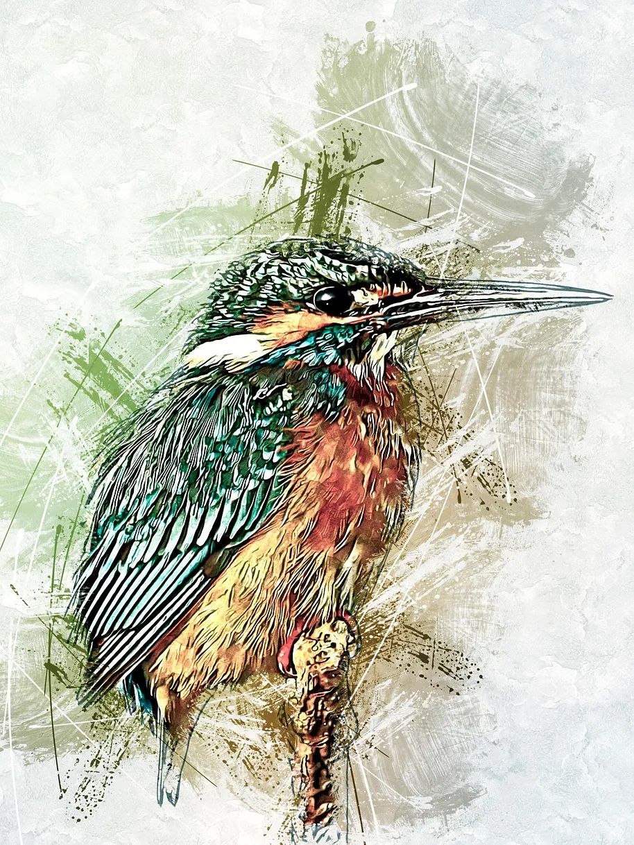 kingfisher-6995931_1280.jpg