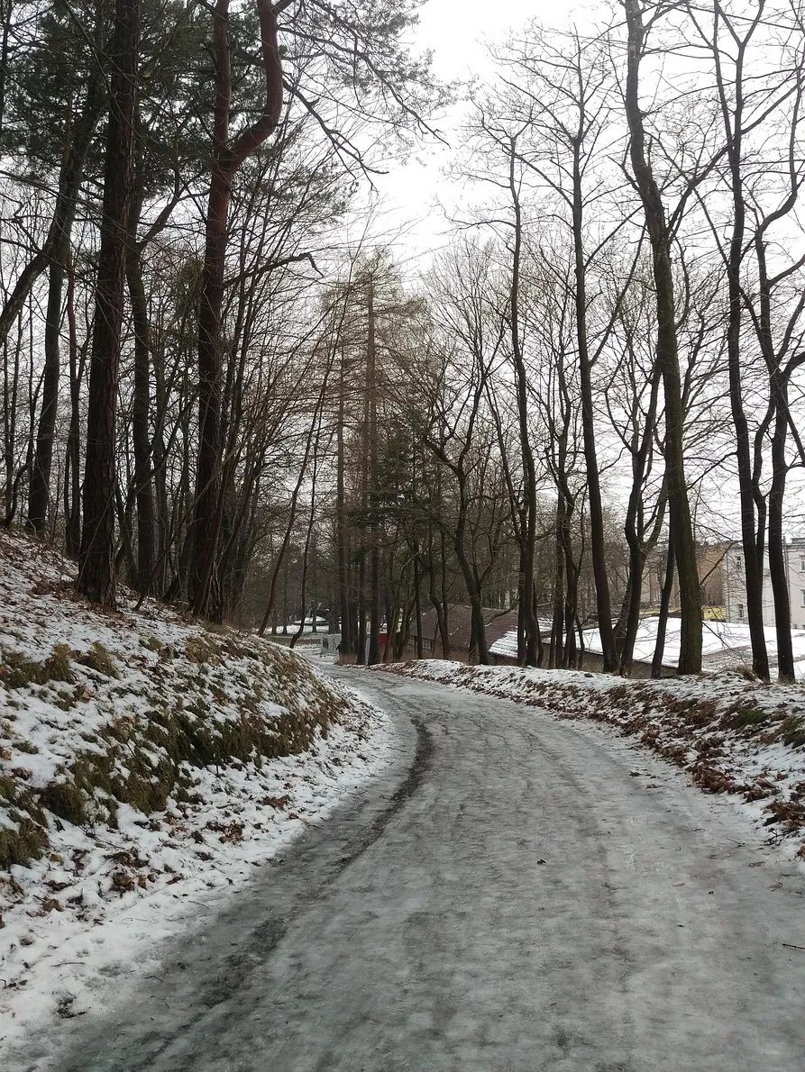 landscape-5579493_1280.jpg