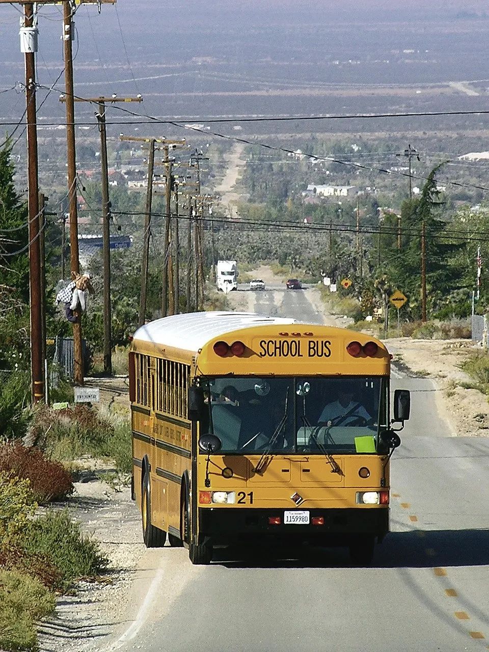 bus-5816204_1280.jpg