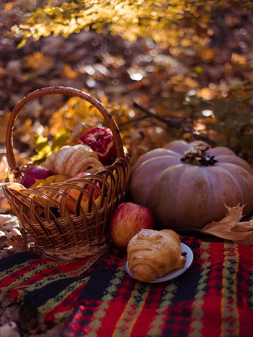 picnic-5689805_1280.jpg