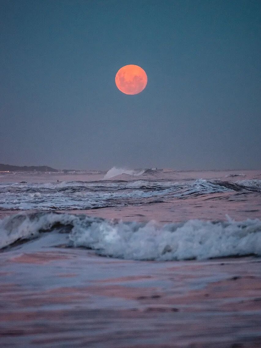 sea-7855153_1280.jpg
